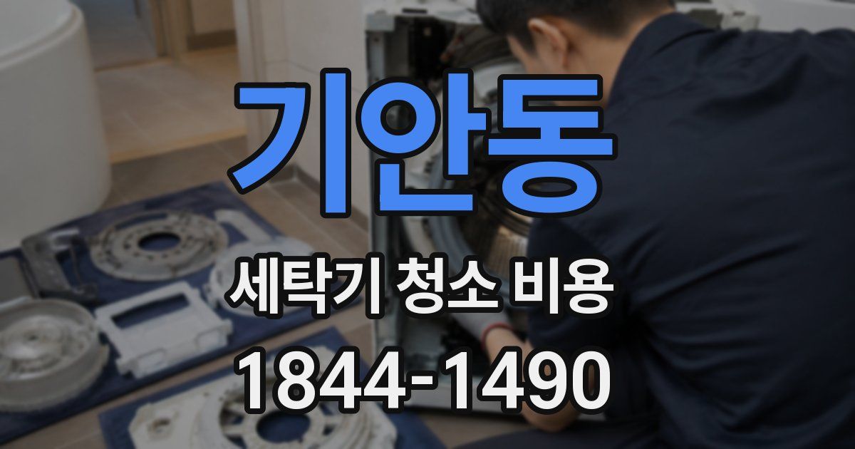 기안동 세탁기 청소 비용