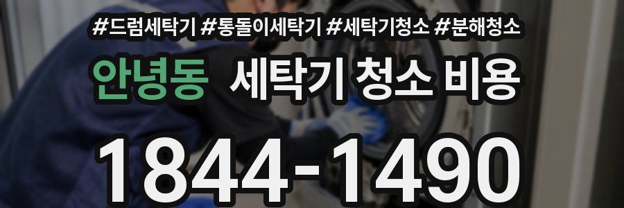 안녕동 세탁기 청소 비용