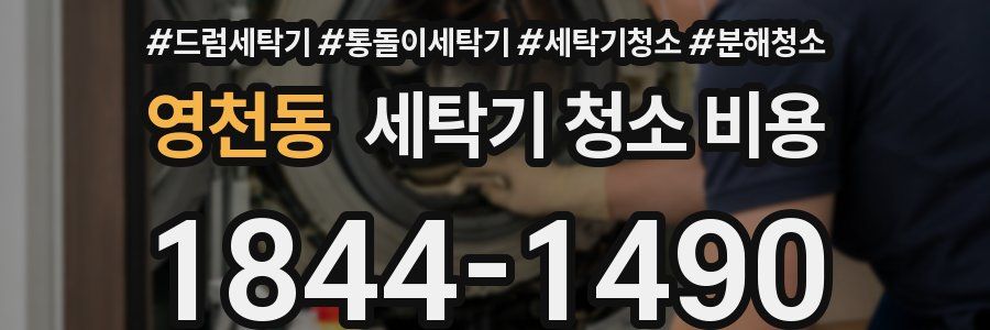 영천동 세탁기 청소 비용