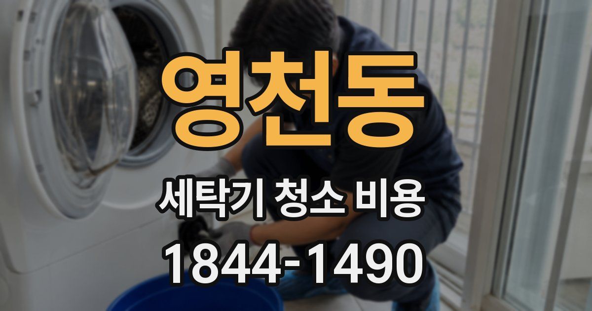 영천동 세탁기 청소 비용