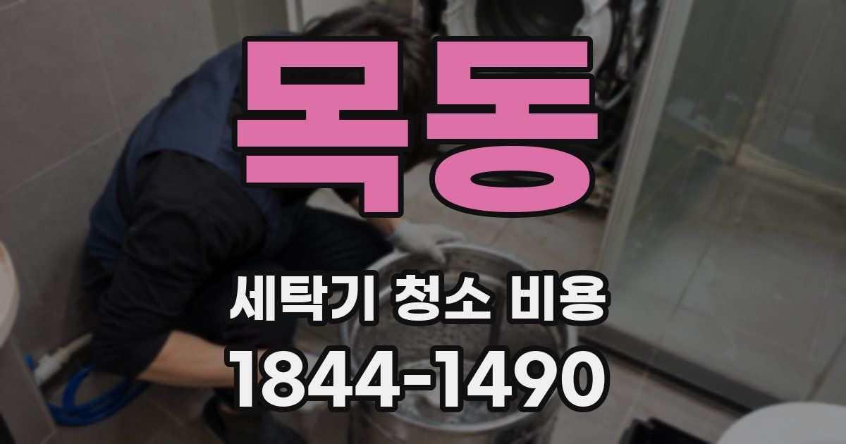 목동 세탁기 청소 비용