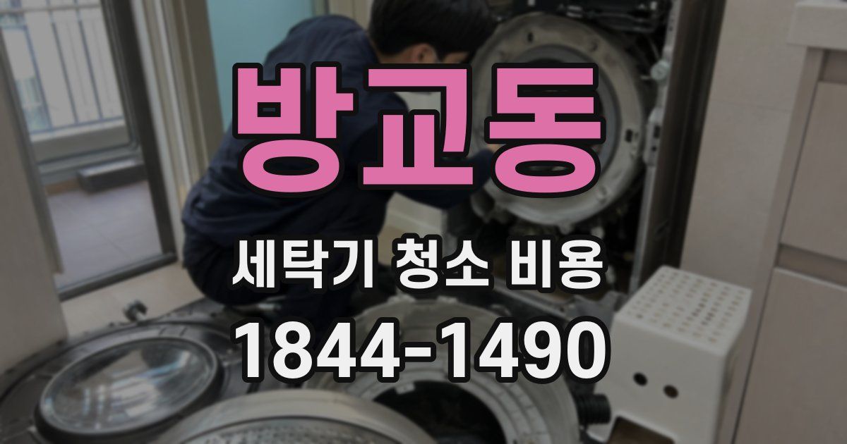 방교동 세탁기 청소 비용