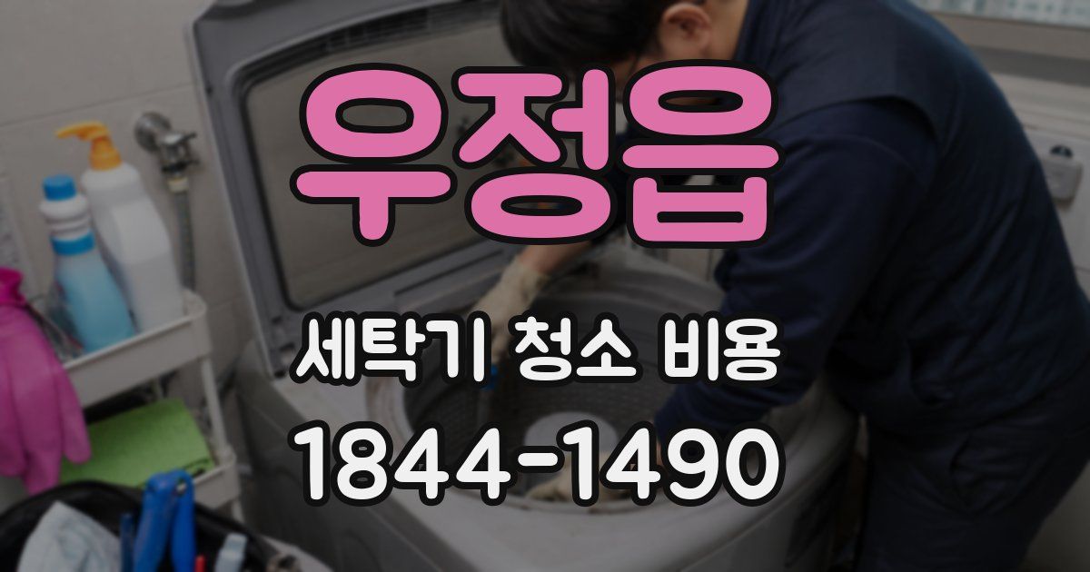 우정읍 세탁기 청소 비용