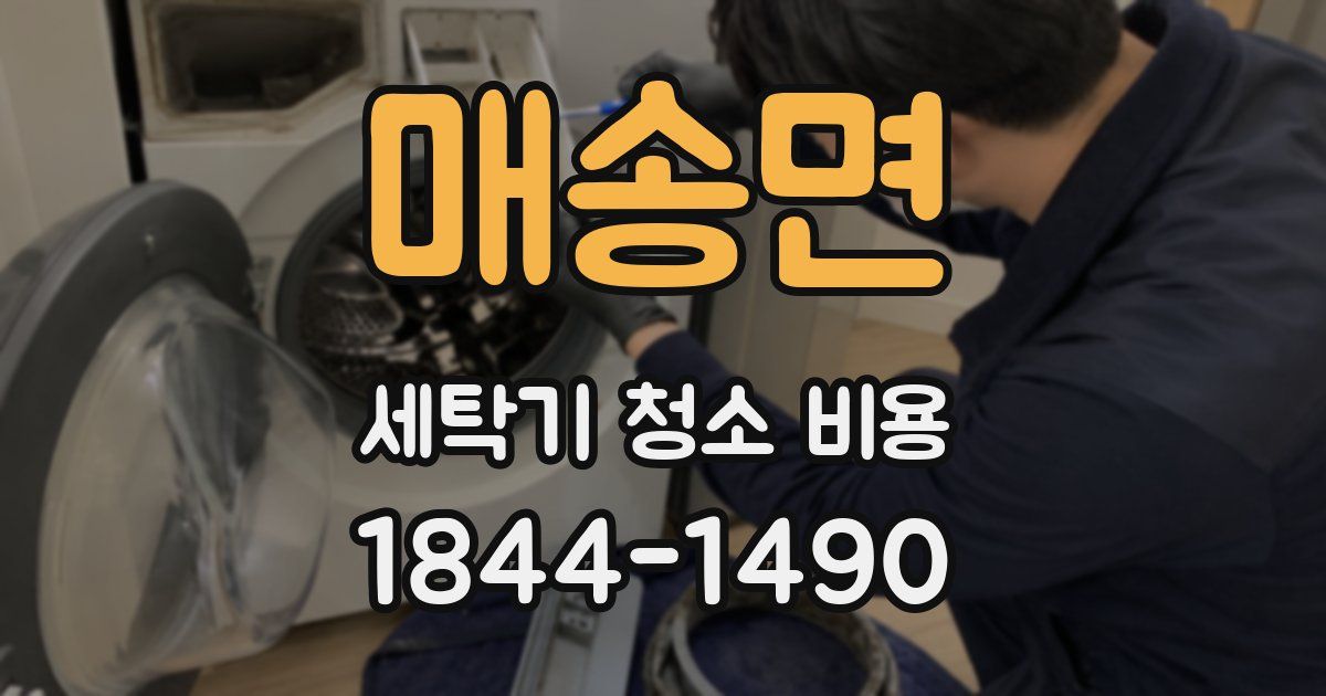 매송면 세탁기 청소 비용