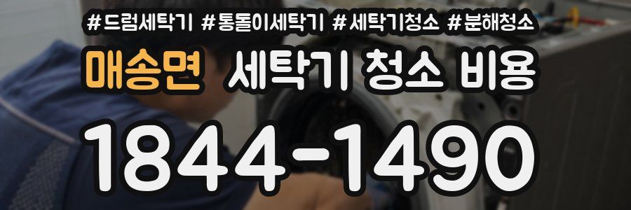 매송면 세탁기 청소 비용