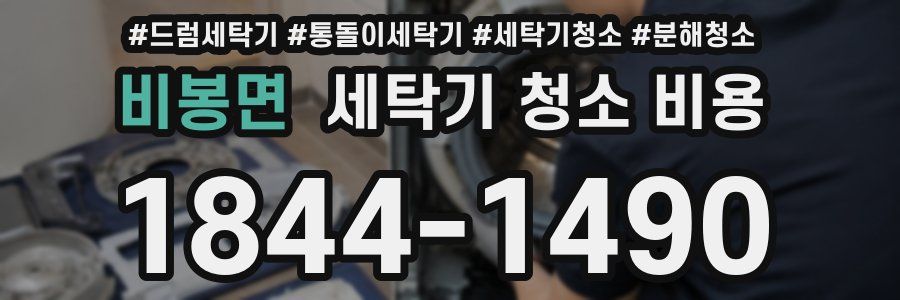 비봉면 세탁기 청소 비용