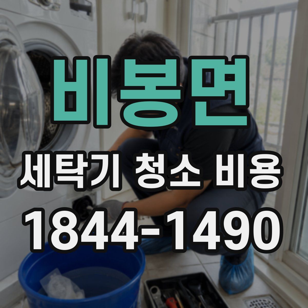 비봉면 세탁기 청소 비용
