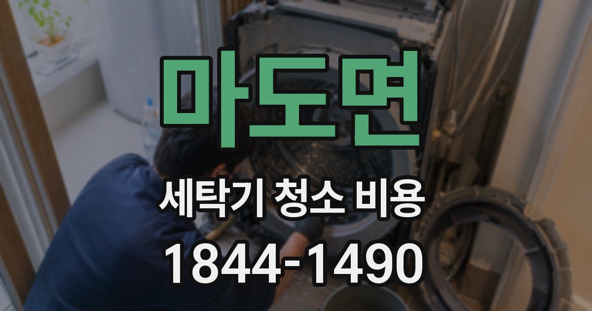 마도면 세탁기 청소 비용