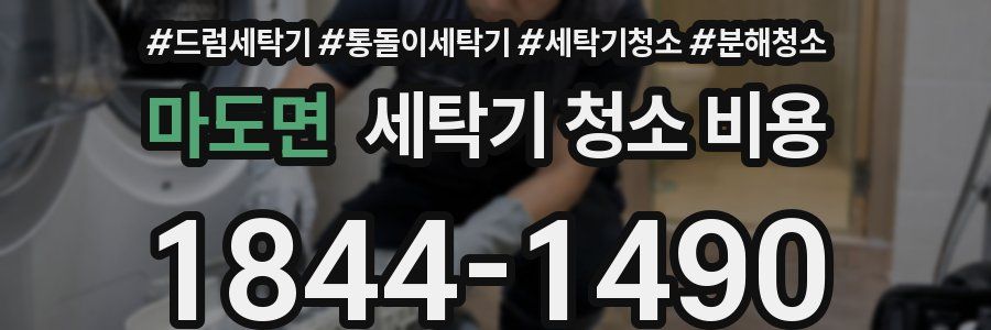 마도면 세탁기 청소 비용