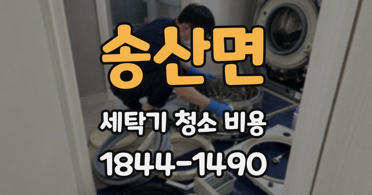 송산면 세탁기 청소 비용
