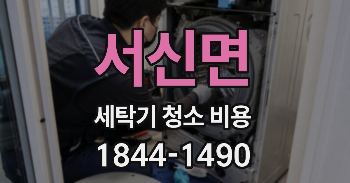 서신면 세탁기 청소 비용
