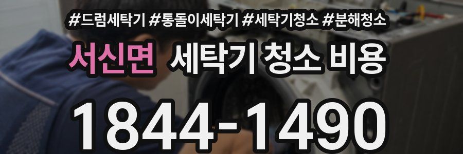 서신면 세탁기 청소 비용