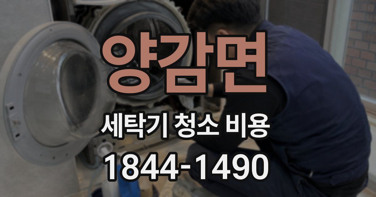 양감면 세탁기 청소 비용