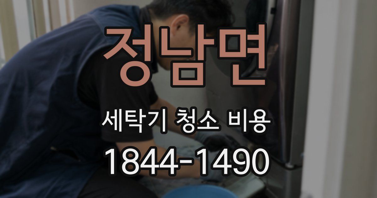 정남면 세탁기 청소 비용