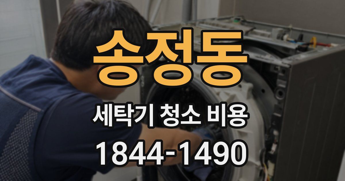 송정동 세탁기 청소 비용