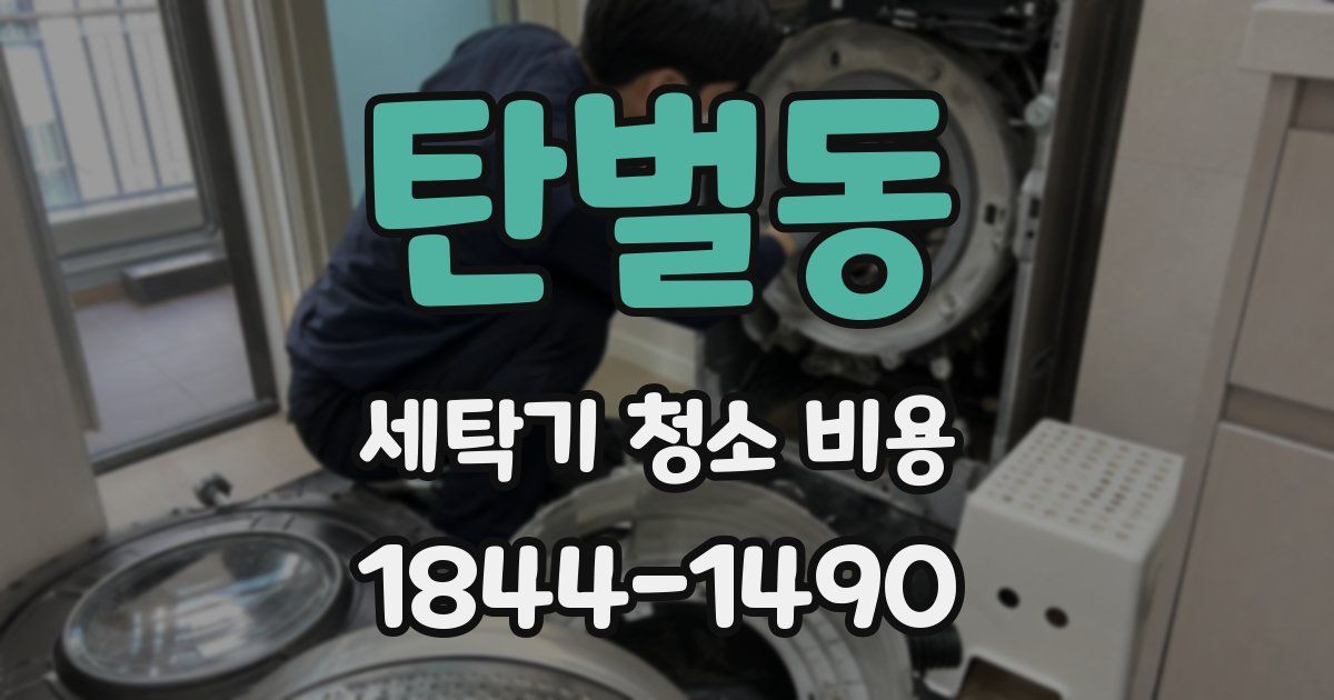탄벌동 세탁기 청소 비용