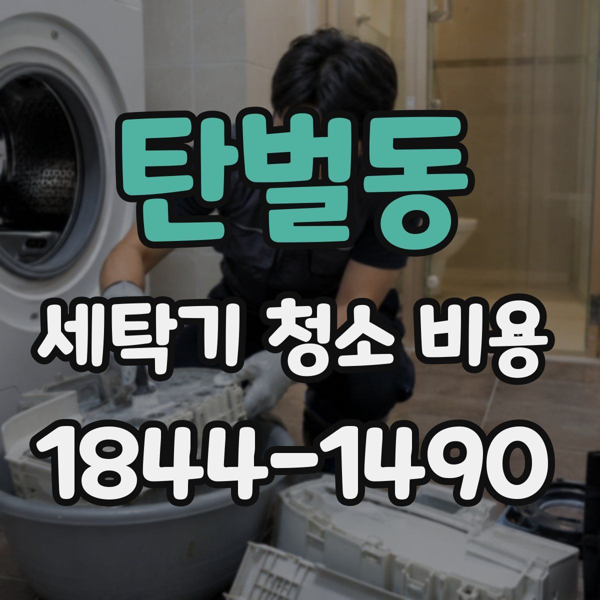탄벌동 세탁기 청소 비용
