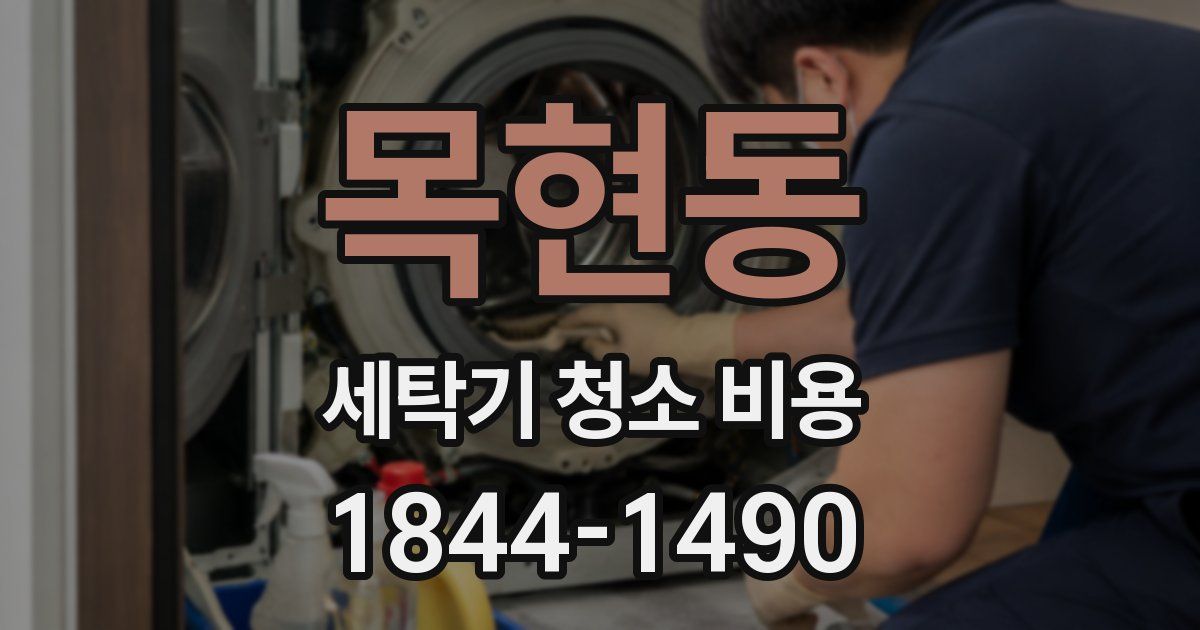 목현동 세탁기 청소 비용