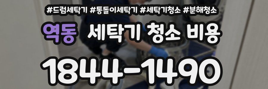 역동 세탁기 청소 비용