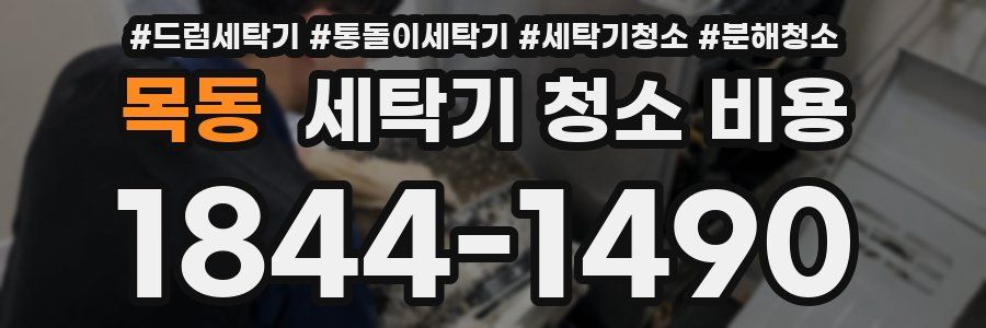 목동 세탁기 청소 비용
