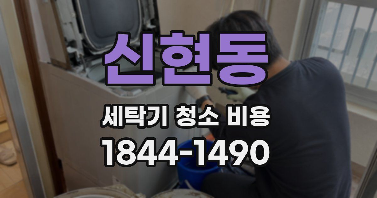 신현동 세탁기 청소 비용