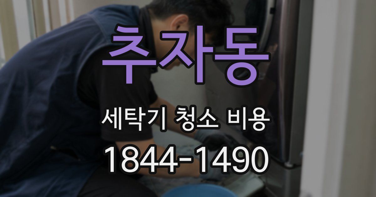 추자동 세탁기 청소 비용
