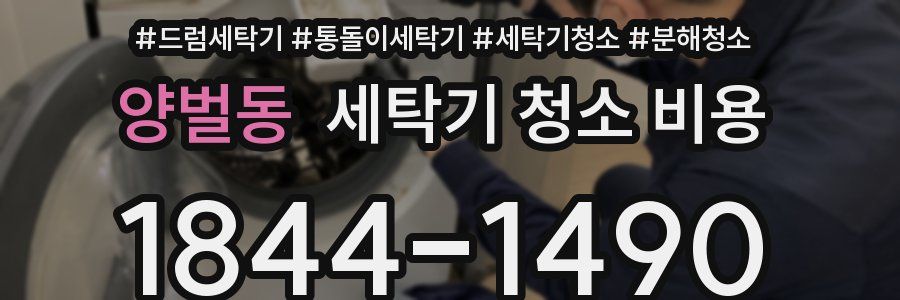 양벌동 세탁기 청소 비용
