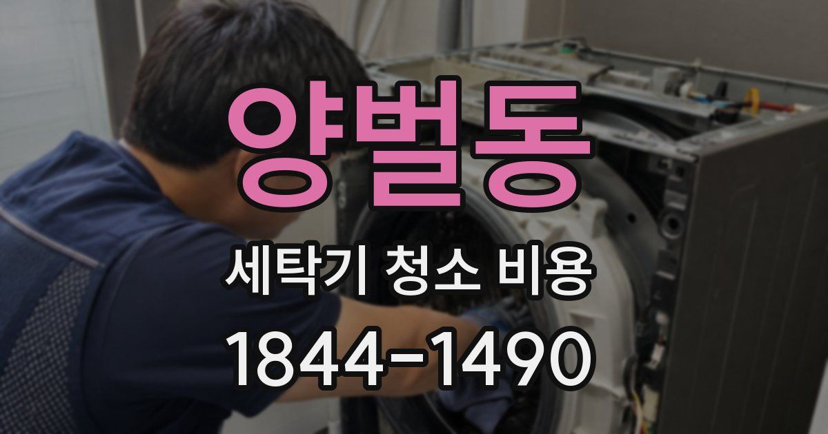 양벌동 세탁기 청소 비용
