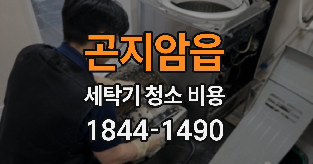 곤지암읍 세탁기 청소 비용
