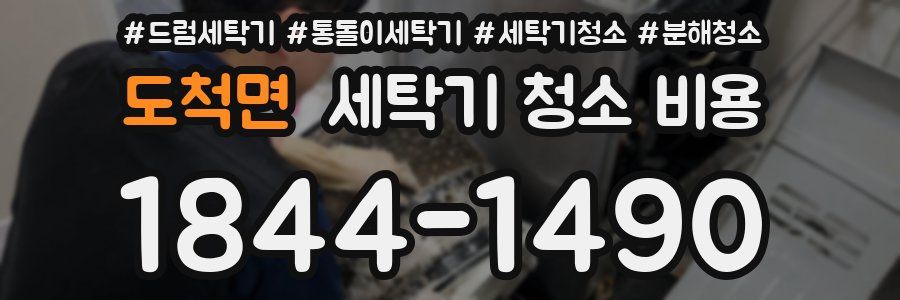 도척면 세탁기 청소 비용