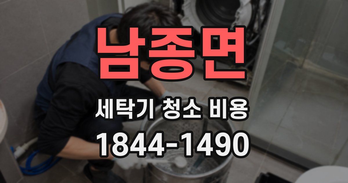 남종면 세탁기 청소 비용