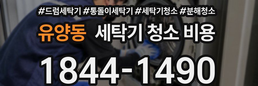 유양동 세탁기 청소 비용