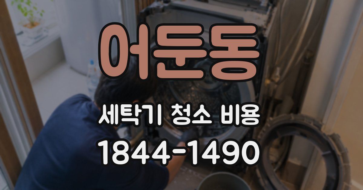 어둔동 세탁기 청소 비용