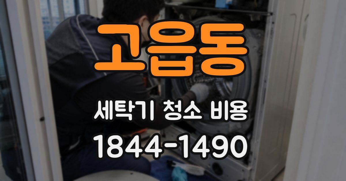 고읍동 세탁기 청소 비용