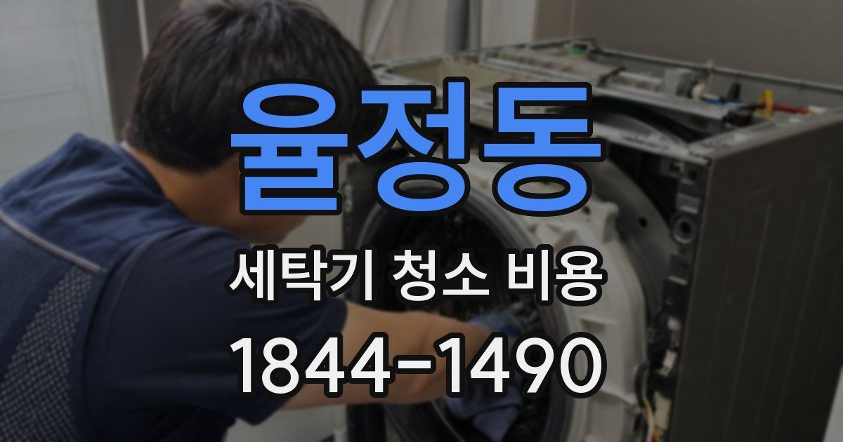 율정동 세탁기 청소 비용