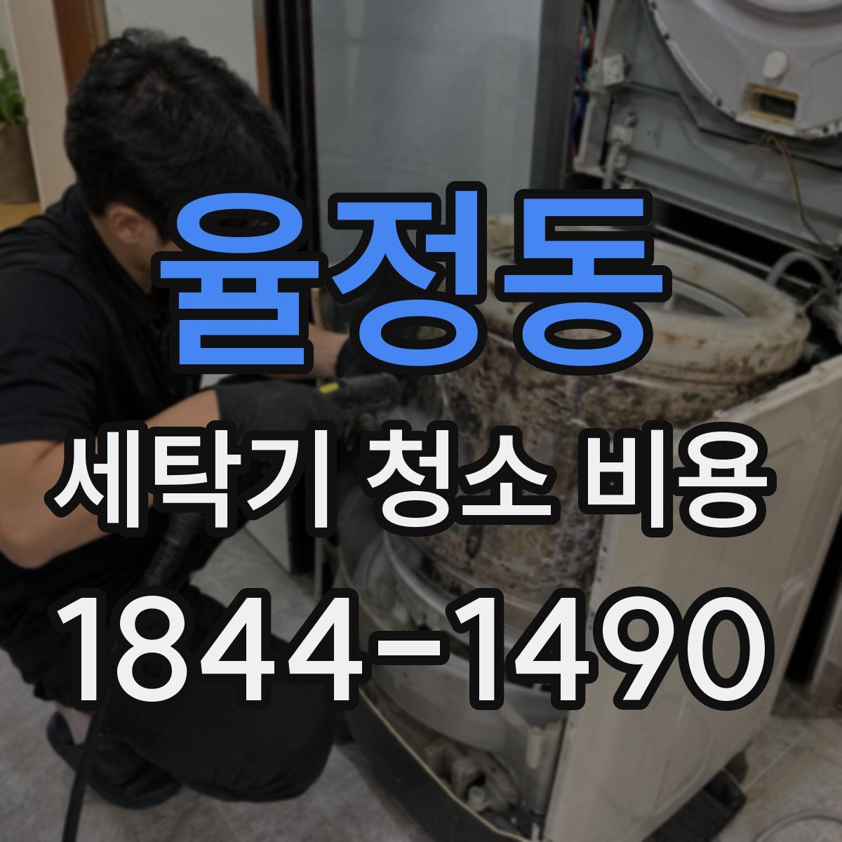 율정동 세탁기 청소 비용