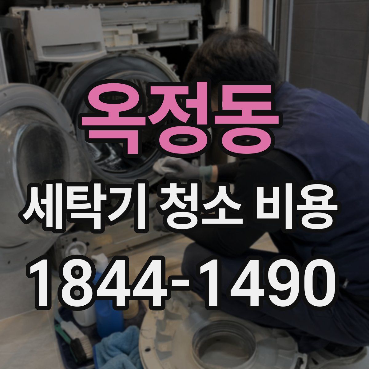 옥정동 세탁기 청소 비용