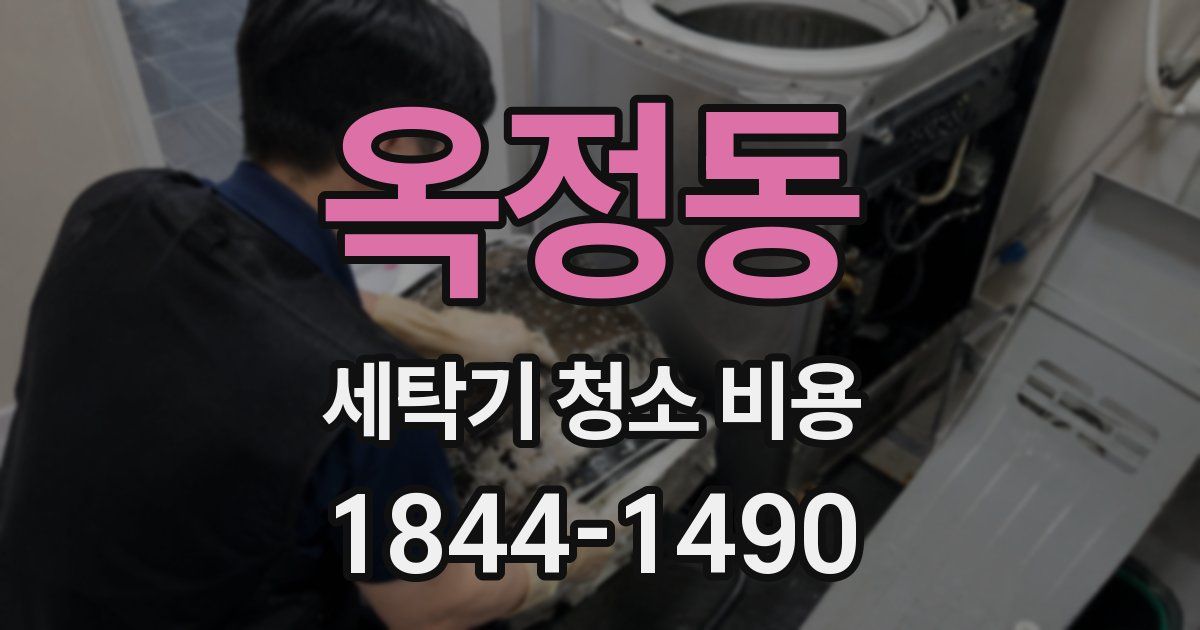 옥정동 세탁기 청소 비용