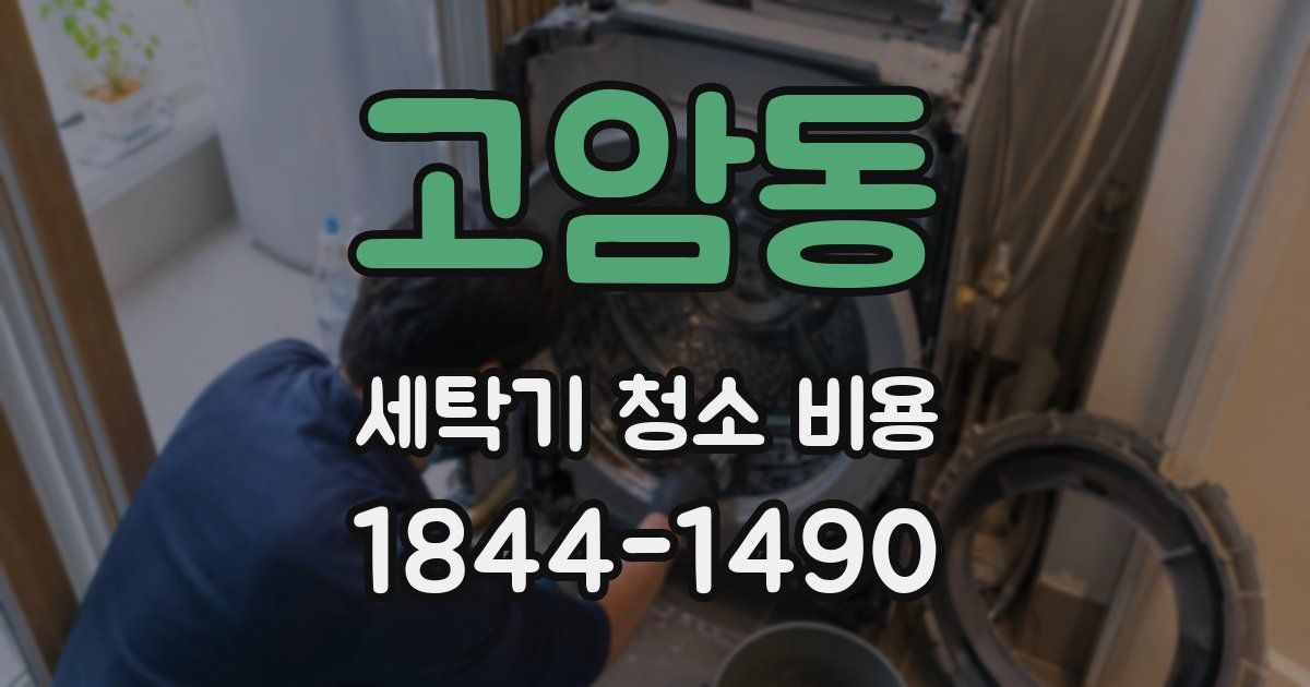 고암동 세탁기 청소 비용
