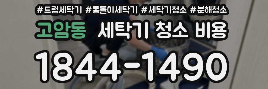 고암동 세탁기 청소 비용