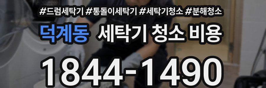덕계동 세탁기 청소 비용