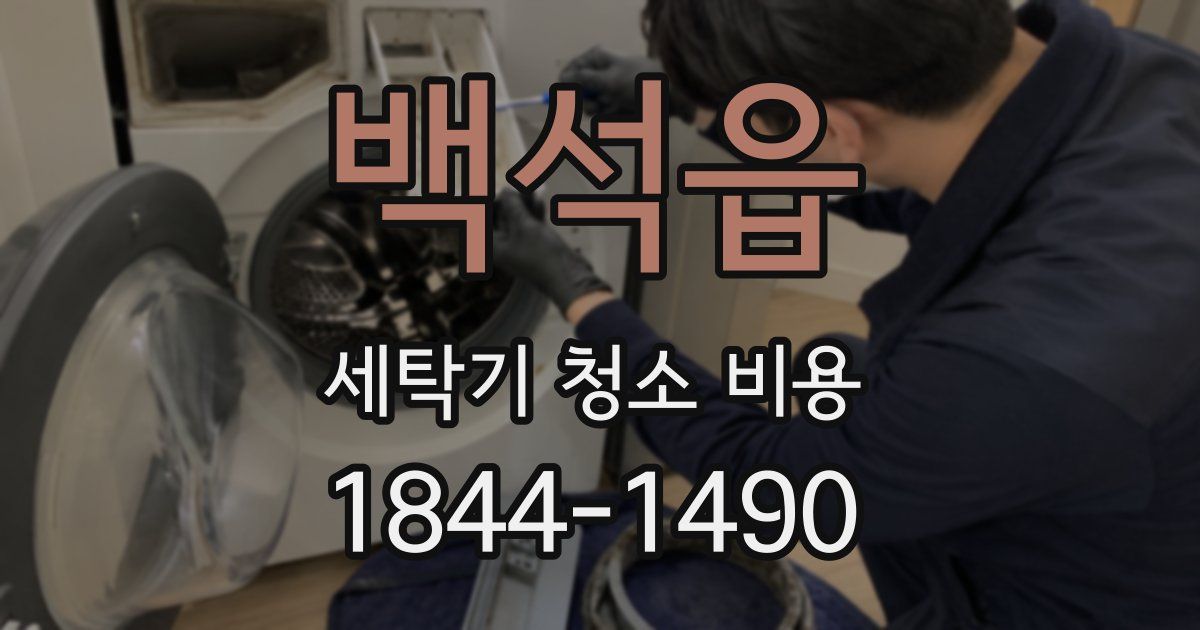 백석읍 세탁기 청소 비용
