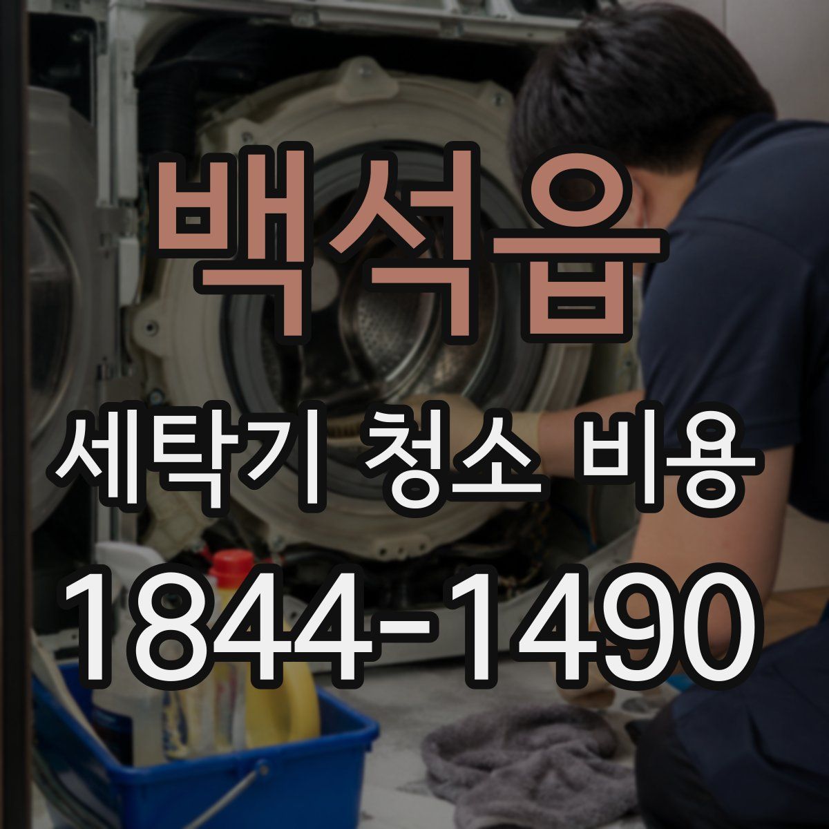 백석읍 세탁기 청소 비용