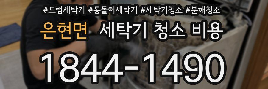 은현면 세탁기 청소 비용