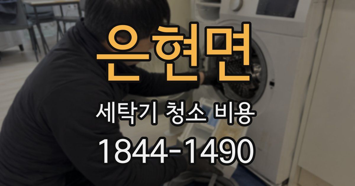 은현면 세탁기 청소 비용