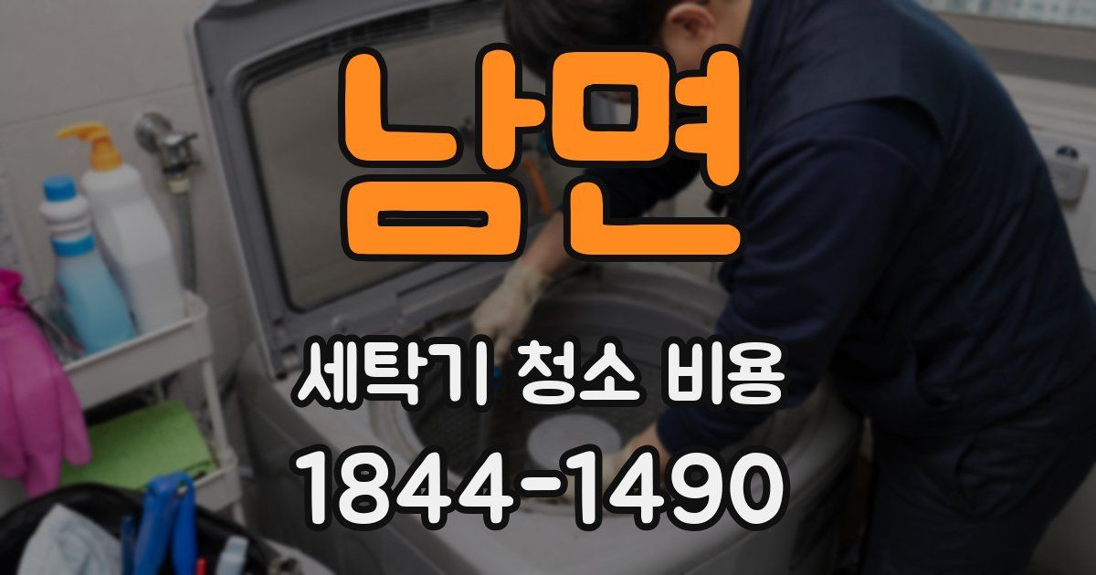 남면 세탁기 청소 비용
