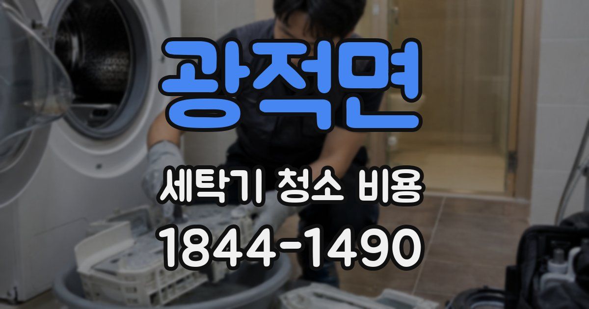 광적면 세탁기 청소 비용