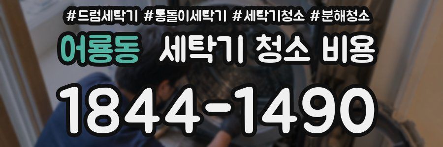어룡동 세탁기 청소 비용