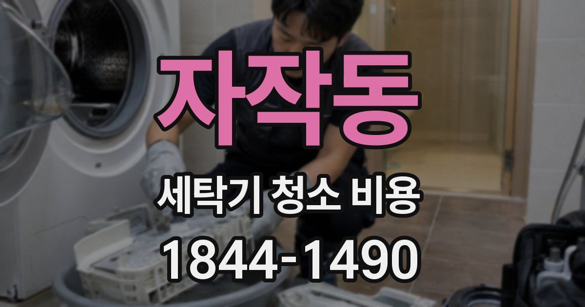 자작동 세탁기 청소 비용
