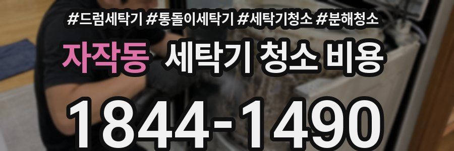 자작동 세탁기 청소 비용